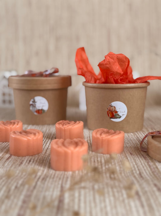 WAX MELTS CANELA Y NARANJA