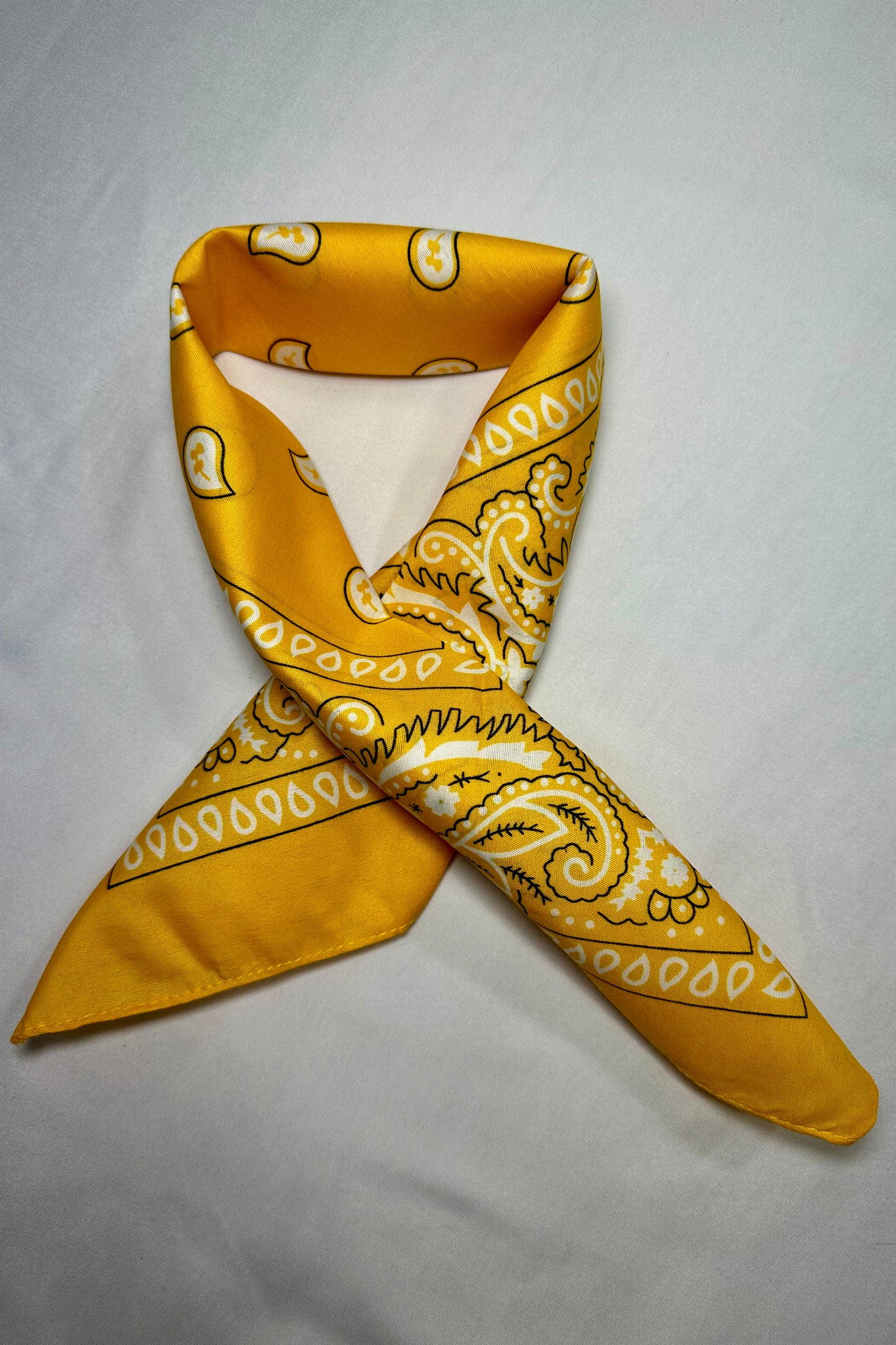 PAÑUELO BANDANA PAISLEY