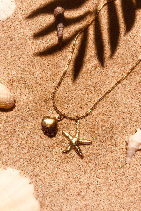 COLLAR CONCHA ESTRELLA MAR