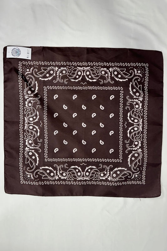PAÑUELO BANDANA PAISLEY