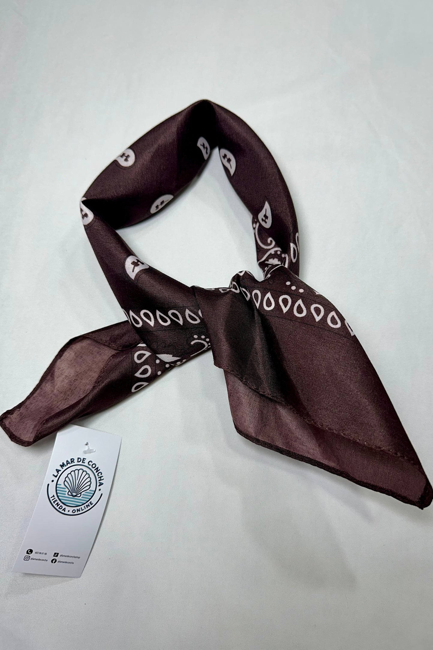 PAÑUELO BANDANA PAISLEY