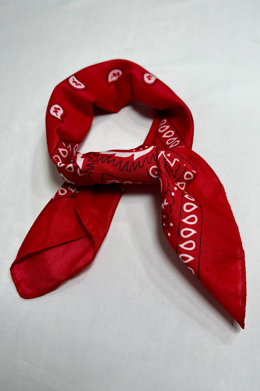PAÑUELO BANDANA PAISLEY