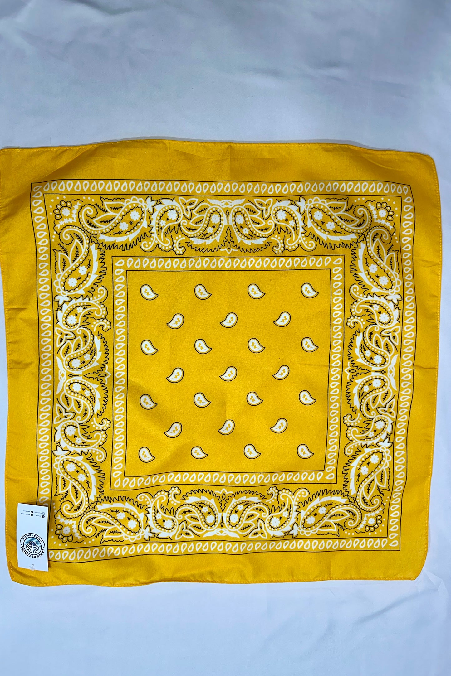 PAÑUELO BANDANA PAISLEY